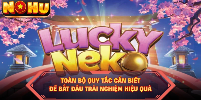 Toàn bộ quy tắc cần biết để bắt đầu trải nghiệm hiệu quả